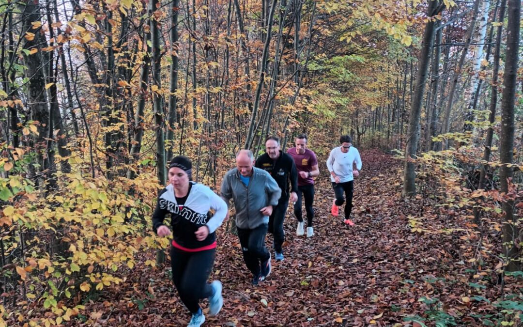 Laufworkshop des VLV in Dornbirn