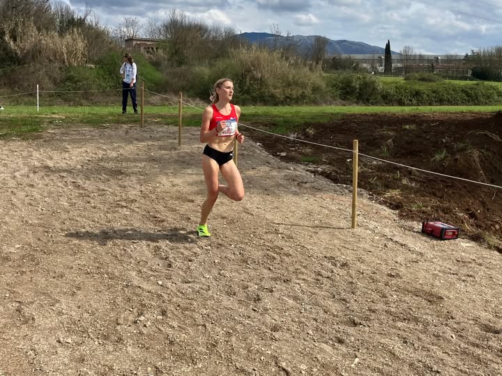 655927710_10242354623065092_2684417187202467105_n